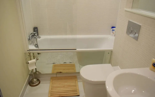 1 Bedroom Apartment in Canary Wharf With Balcony