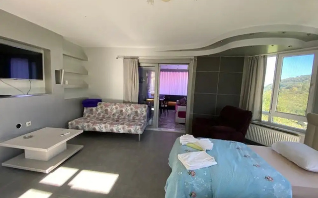Cosy Park Apartment