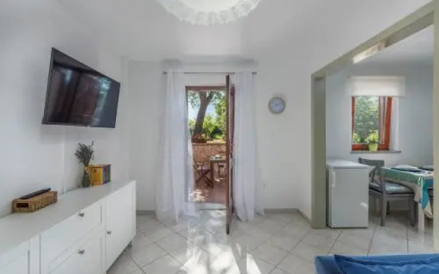 Apartment Nino 255