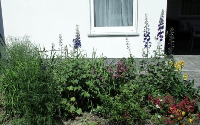 Waldblick