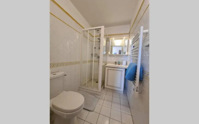 Appartement climatisé les Lavandiers 6 personnes piscines