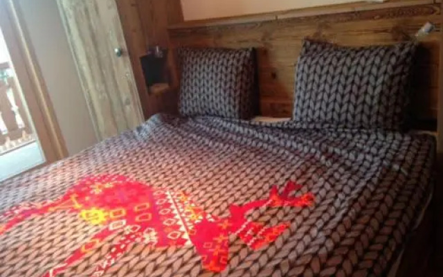 Ski in Ski out LUXURY & MOUNTAIN apartments
