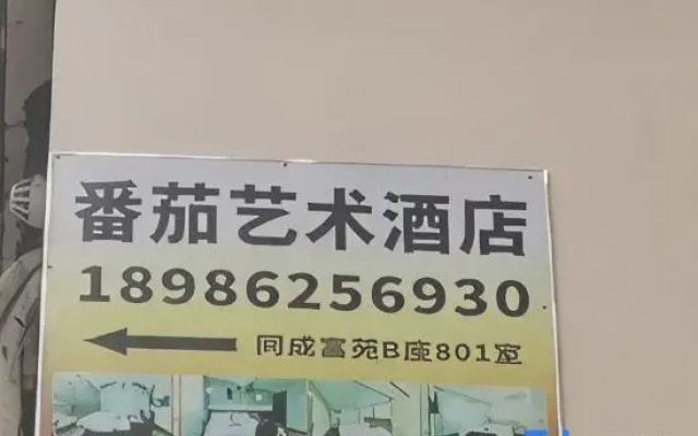 Tomato Art Smart Cinema Apartment (Chuhe Hanjie Metro Station, Hubei Provincial Museum Branch)