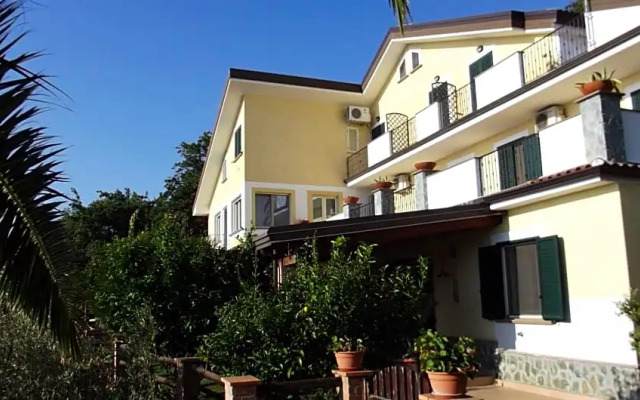 B&B LEucalipto