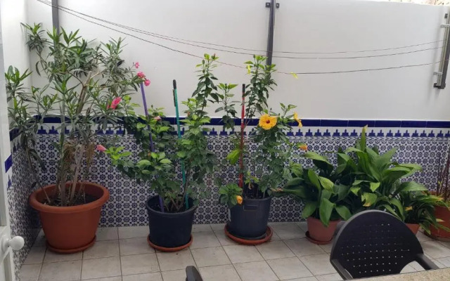 Apartamento Callejuela Las Flores