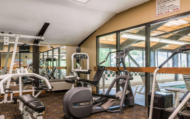 Comfort Inn Pine Grove I-81 Hershey Area