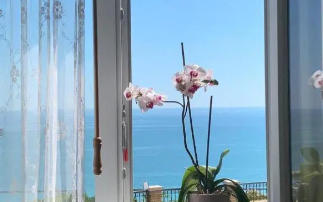 La Casa Di Torre Di Palme