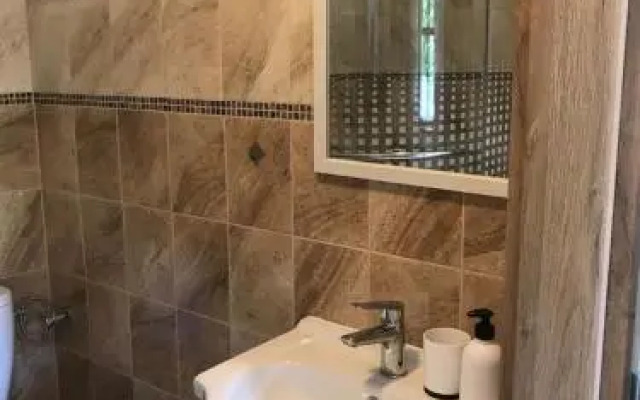 Apartment Šedivý