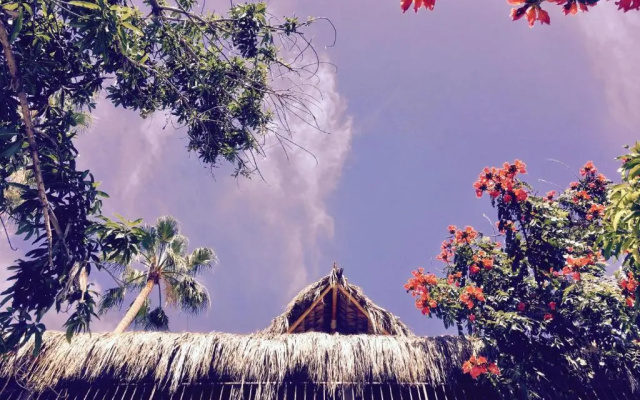 Hotel Posada Señor Mañana