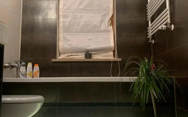 Uroczy apartament w centrum miasta