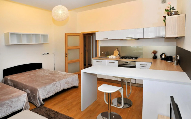 Apartment Elišky Krásnohorské
