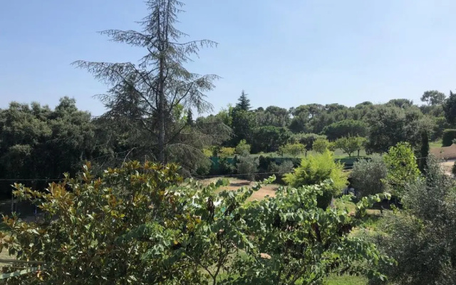 L'oliveraie