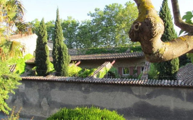 Cypres dAntan