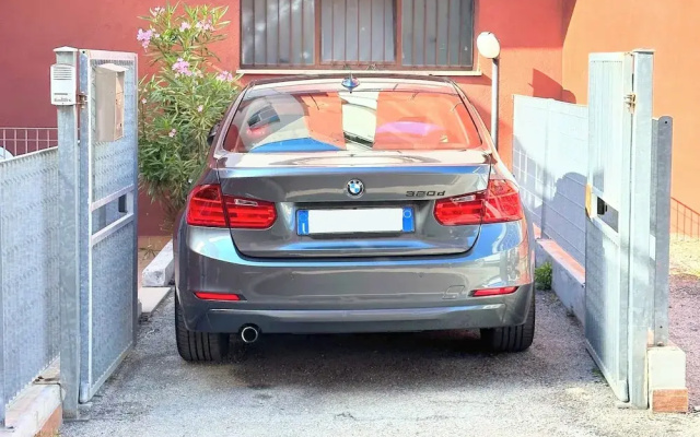 Cleo mimosa