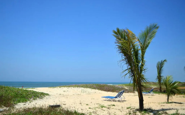 Palm Grove Cottages - Leisure Resort