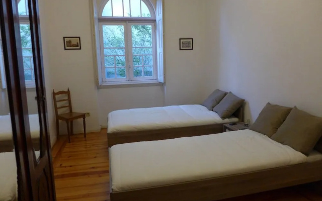 Carolina M Apartment
