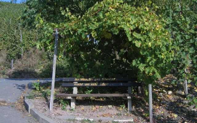 Weinfelderhof