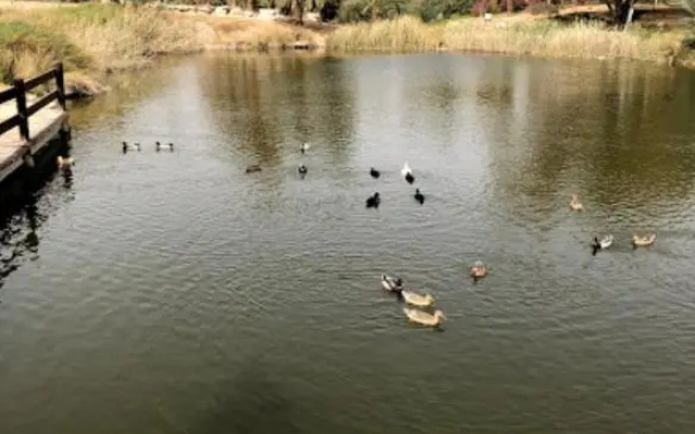 הבית החום בערבה יחידה זוגית