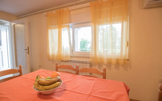 Apartment Visnja