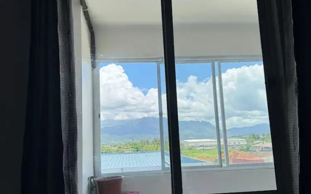 Bula Bliss