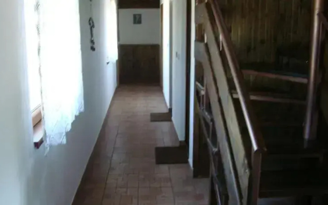 Moskito Guest House