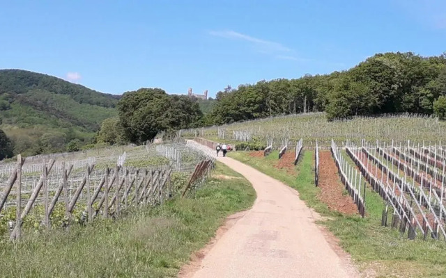 Au coeur des vignes