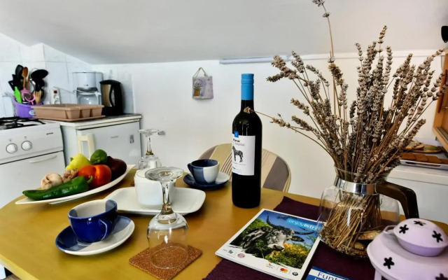 Apartmani Kovač