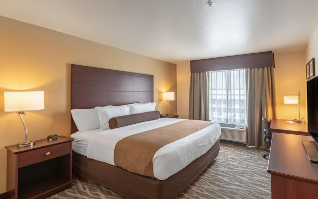 Cobblestone Hotel & Suites - Hartford