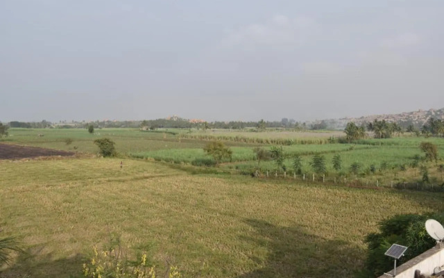 Coconut Homestay Hampi