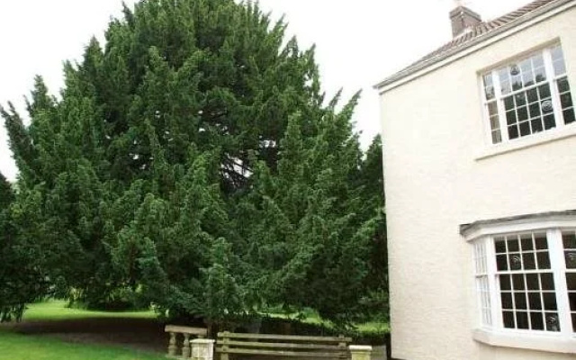 Sniperley Hall B&B