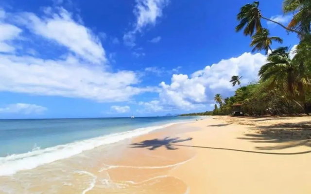 Le Diamant d'Océane, à 50 m de la plage