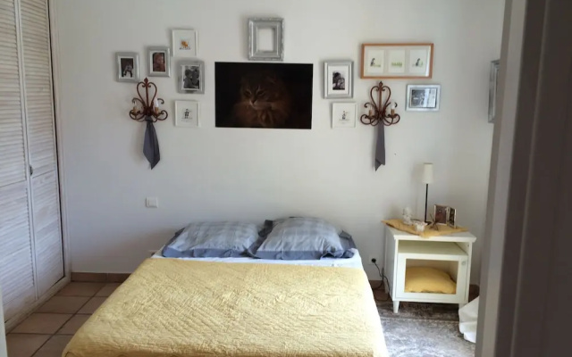 Luxurious Villa With Internet and Private Swimming Pool, Near Grasse