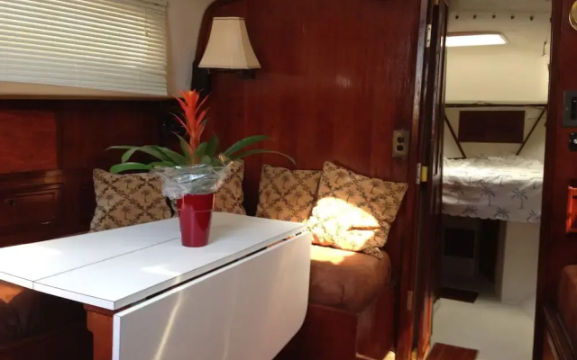 Key West Sailing Adventure