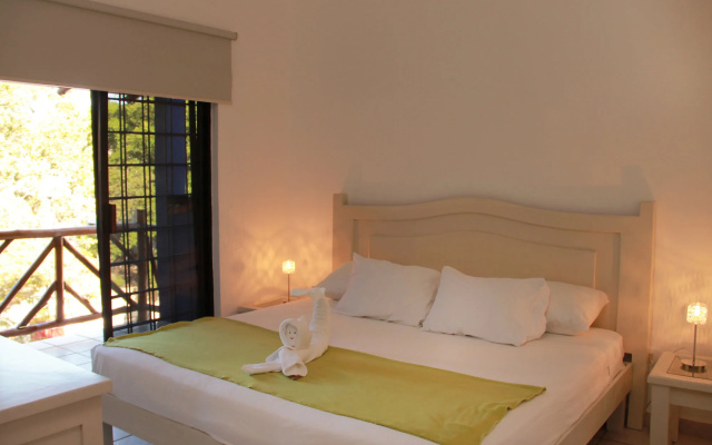 Vida Playa Suites