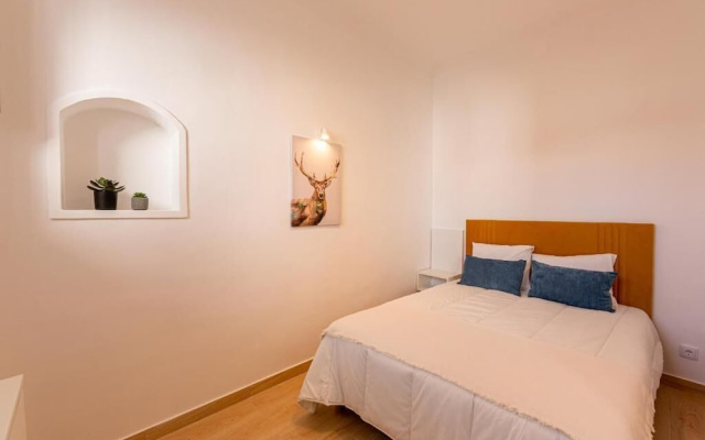 Luxury Palm Suites