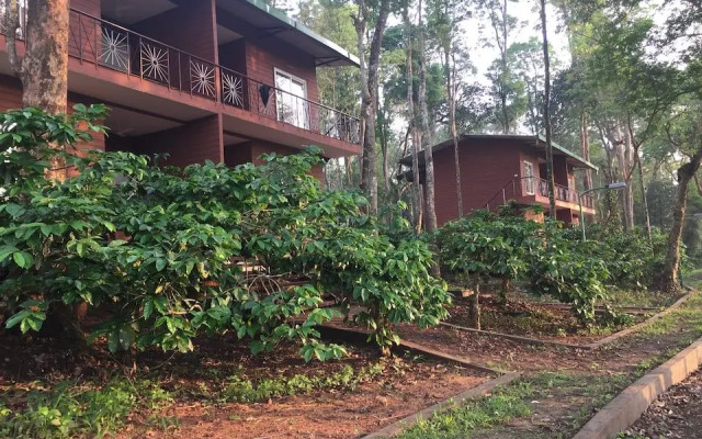 Machaan Resorts