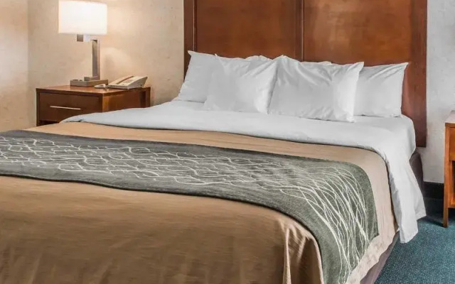 Comfort Inn Waynesburg