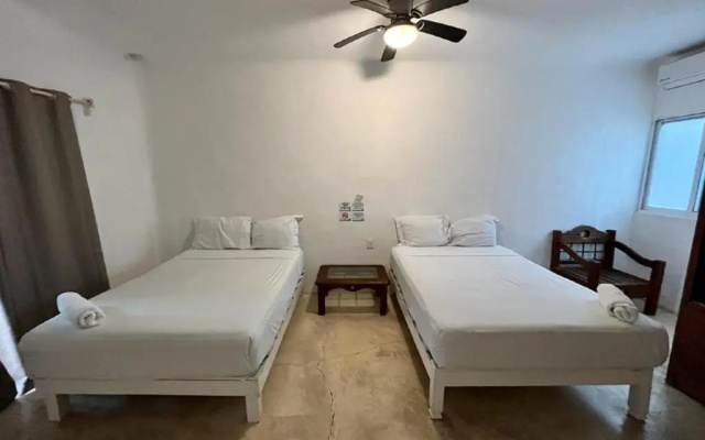 Posada Amaite 5 Avenida