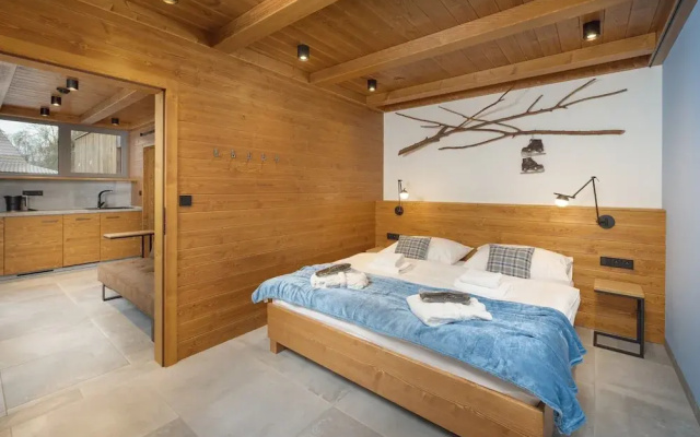 Villa in Cerny Dul Near Ski Slope