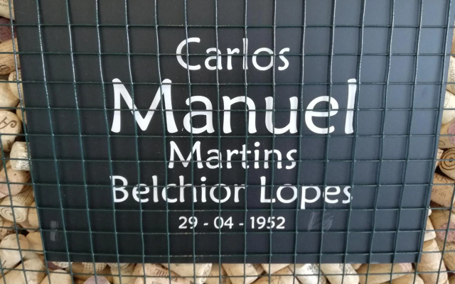 Manuel Apartment - Belch1952