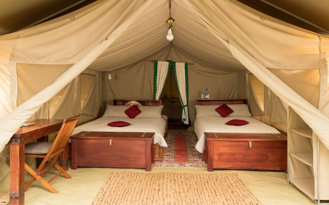 Hammerkop Migration Camp