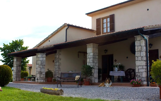 Sant'Ansano