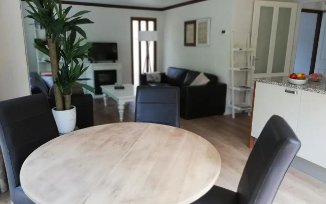 Roodborstje 4 persoonschalet Putten