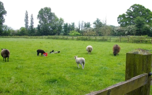 The Old Cowstall