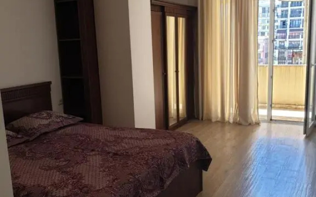 Apartment on the Rustaveli
