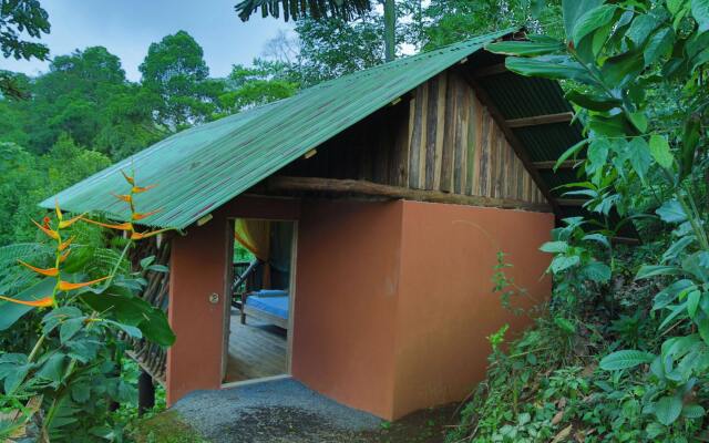 La Tigra Rainforest Lodge In El Fosforo Costa Rica From 74