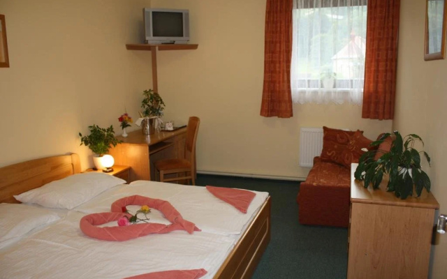 Hotel Aurum Černý Důl