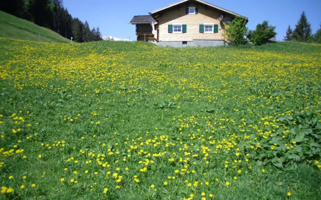 Maisäß Lifinarblick