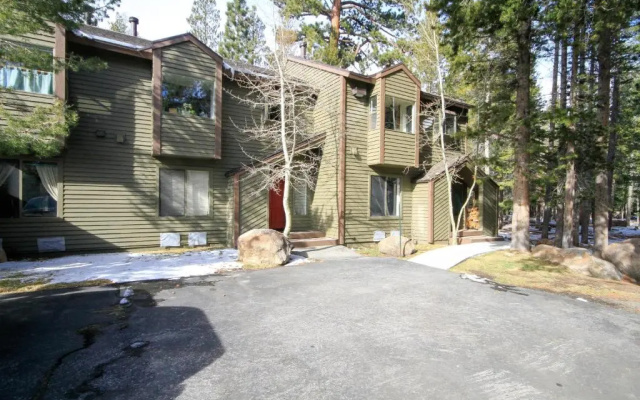 Forest Creek #3, Pet accepted