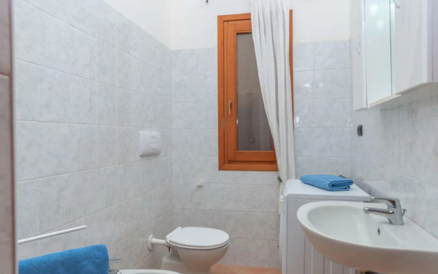 Corbezzolo 36904